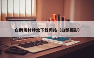 六盘水白鹅素材特效下载网站（白鹅摄影）